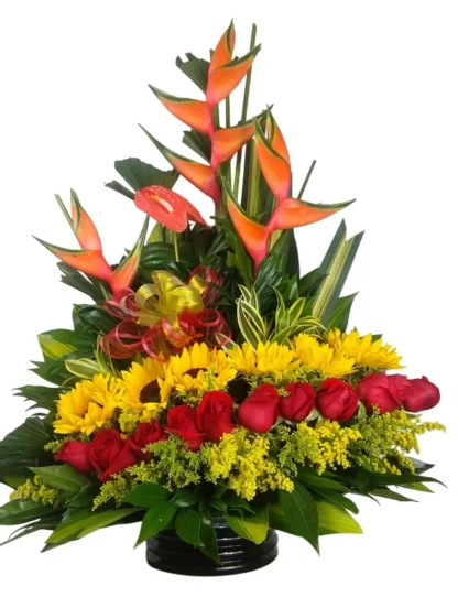 linea tropical