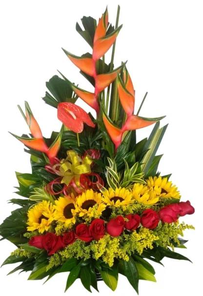 linea tropical