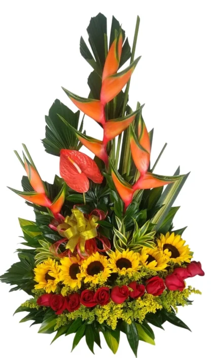 linea tropical