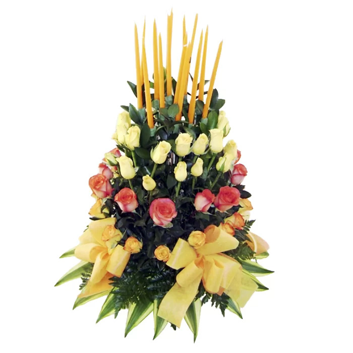 15PRIMAVERAS