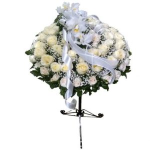 plantas-de-condolencias-Medellin