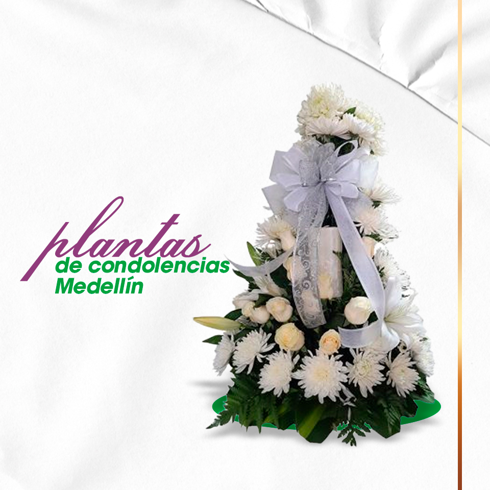 Plantas-de-condolencias-Medellín