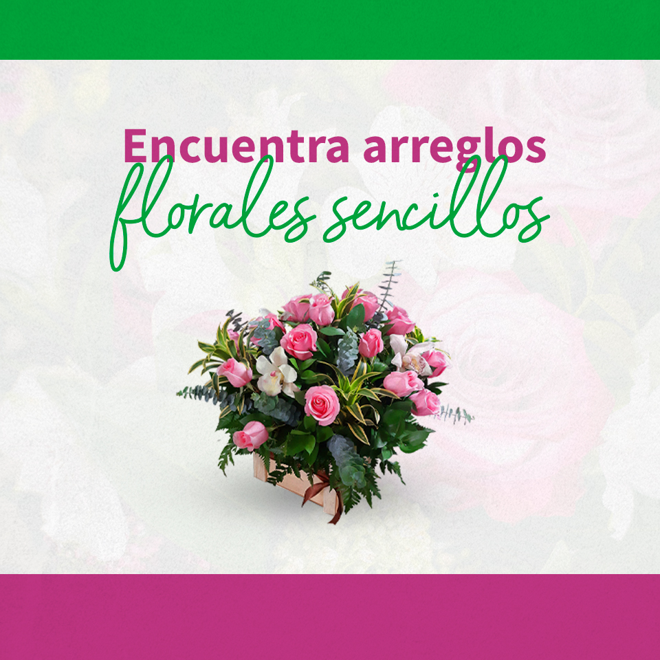 Floristería en Medellín | Floristería Jardín Kennedy