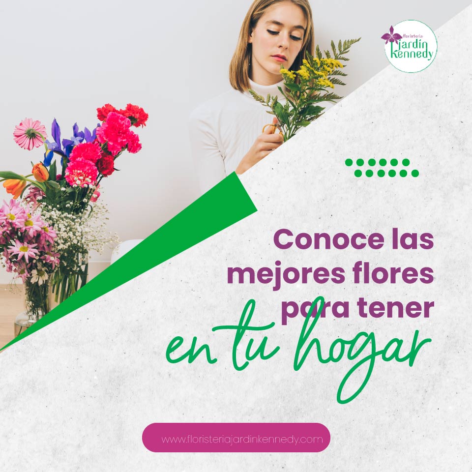 flores-para-tener.en-tu-hogar