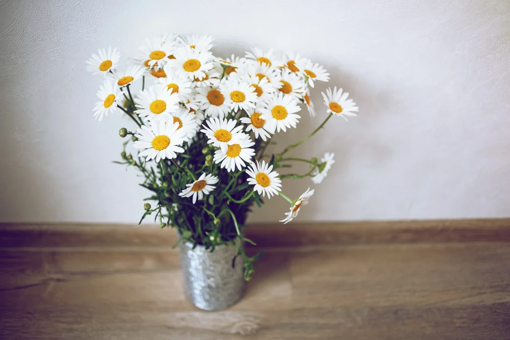 flores-para-tener.en-tu-hogar