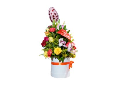 primavera