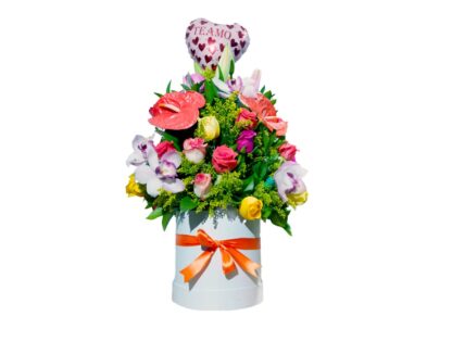 primavera