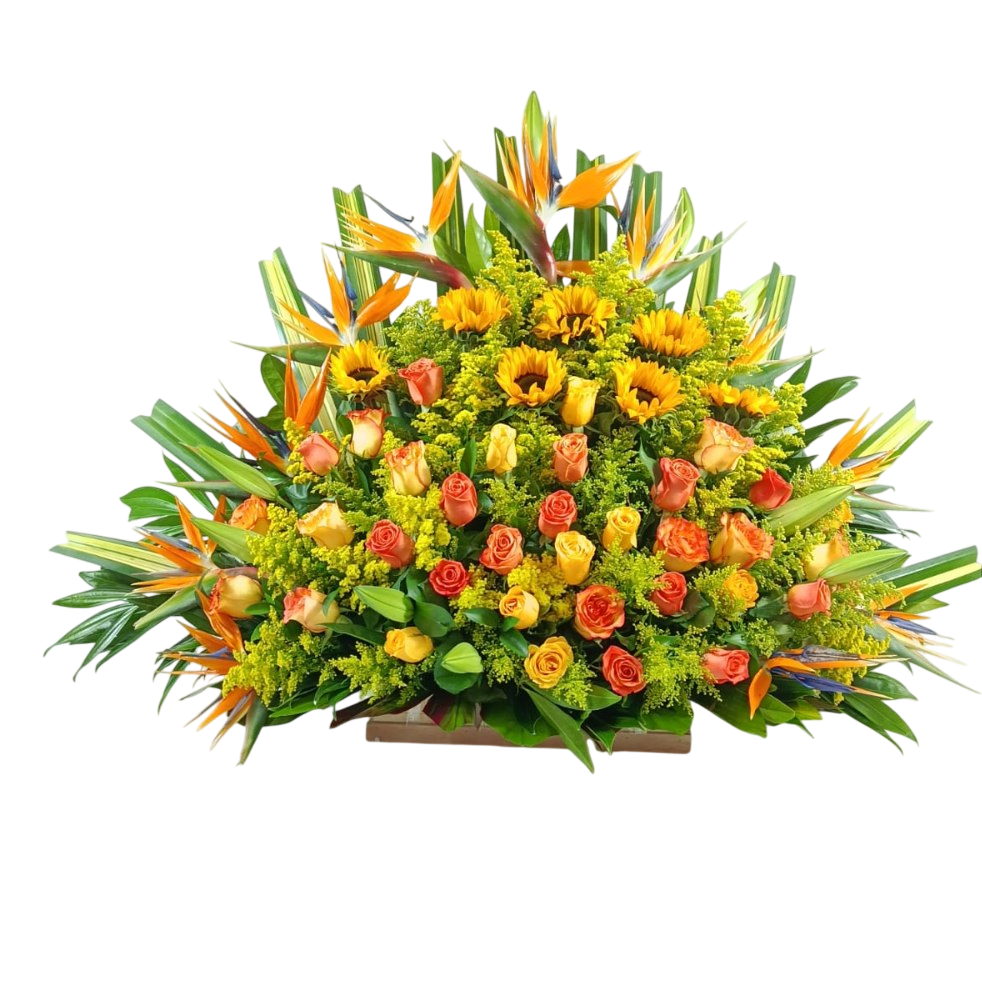 WhatsApp Image 2026 03 13 at 1.06.27 PM (4) Photoroom