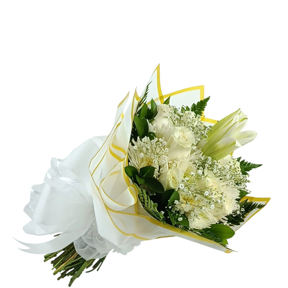 WhatsApp Image 2026 03 18 at 4.51.14 PM Photoroom