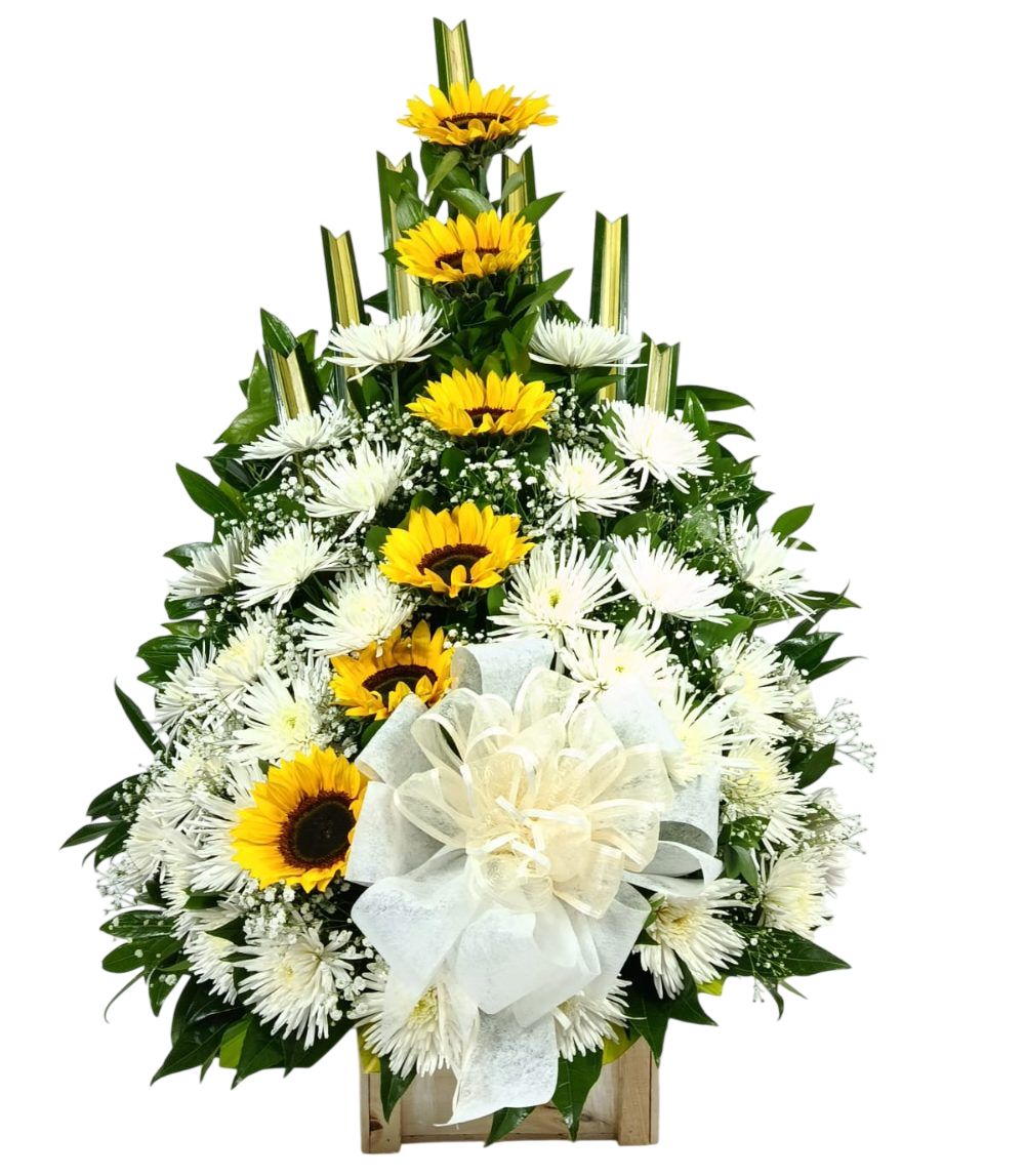 WhatsApp Image 2026 03 18 at 4.52.16 PM (4) Photoroom