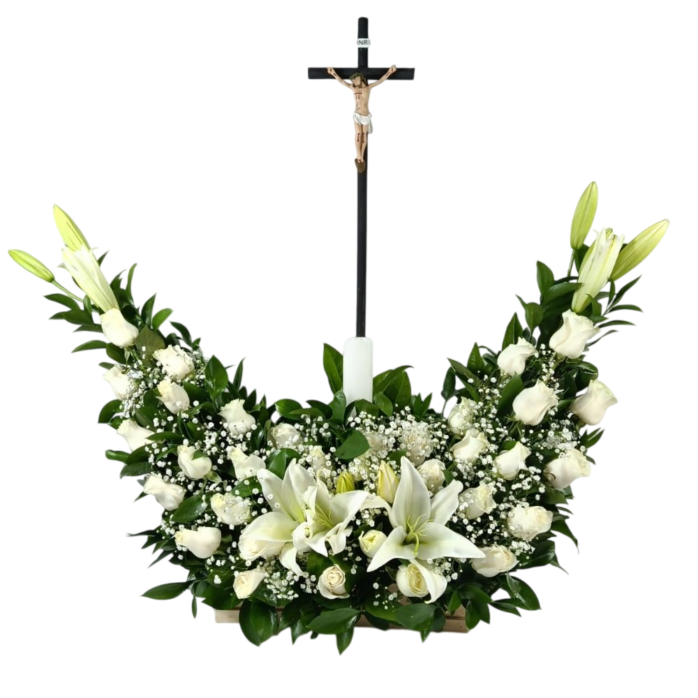 WhatsApp Image 2026 03 19 at 1.40.54 PM (1) Photoroom