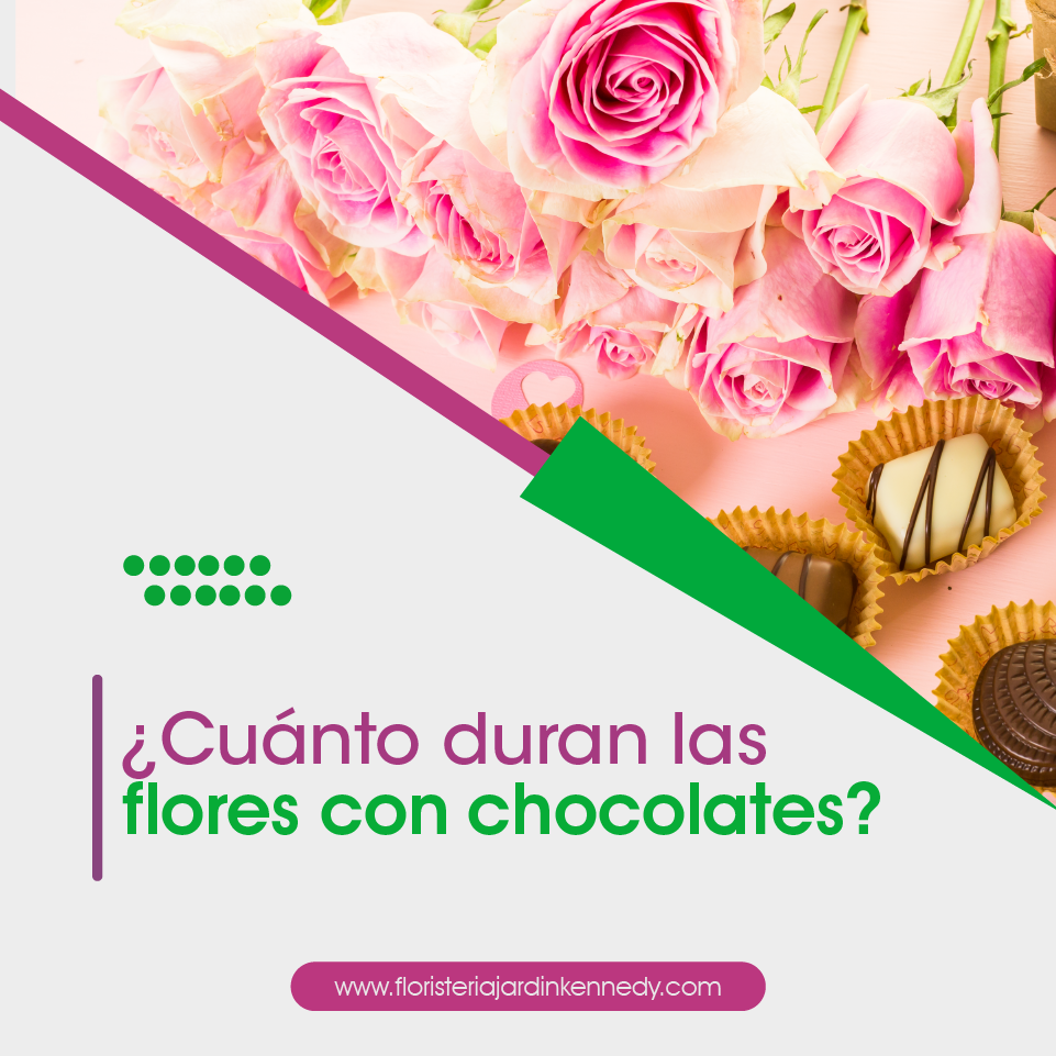 CORTE15 (2)
