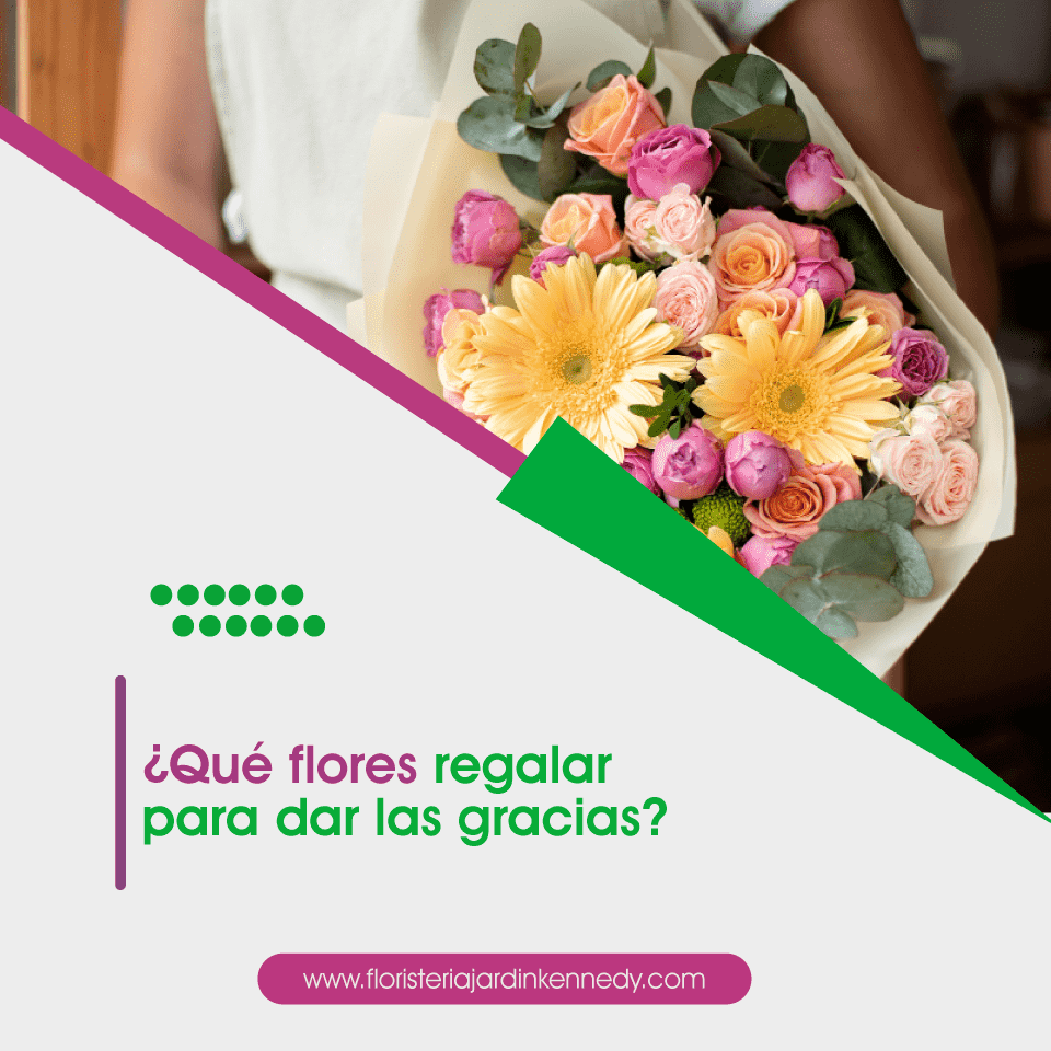 FLORISTERIA CORTE 15 1 (1)