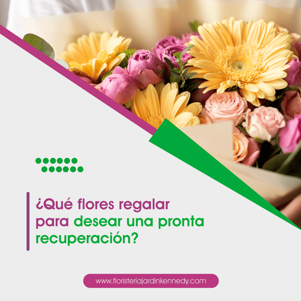 FLORISTERIA CORTE 15 2 (1)